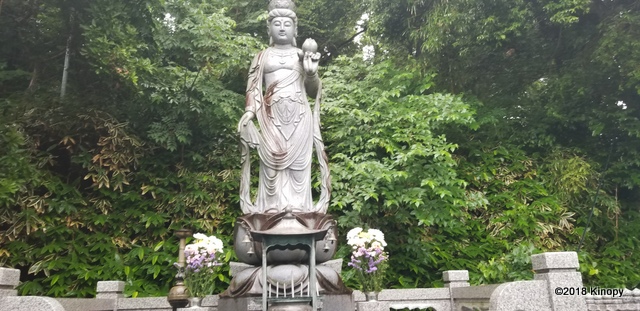 f:id:atsushi912:20180624184710j:plain