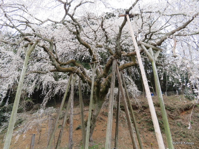 f:id:atsushi912:20190330161015j:plain
