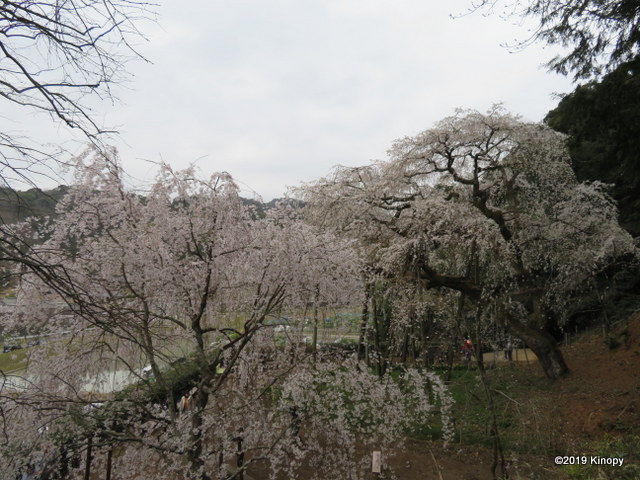 f:id:atsushi912:20190330161022j:plain