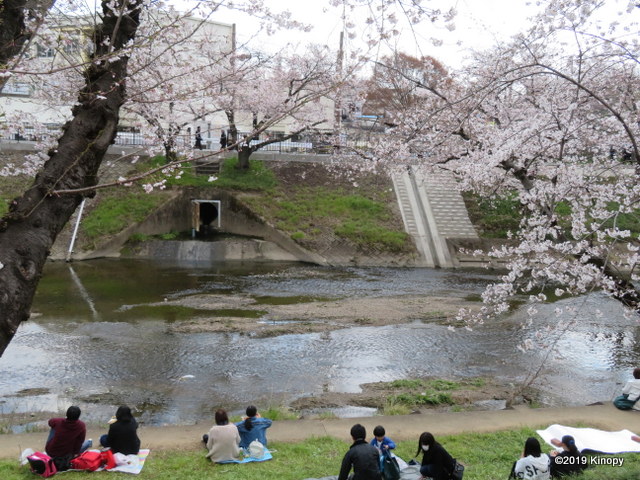 f:id:atsushi912:20190403174132j:plain