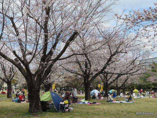 f:id:atsushi912:20190403174209j:plain