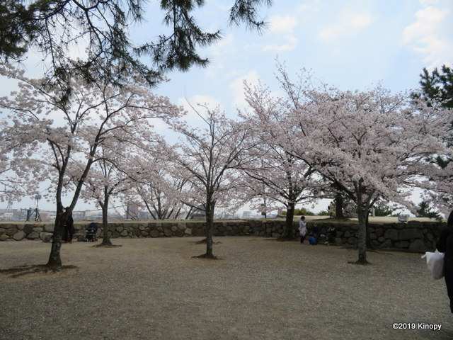 f:id:atsushi912:20190406233256j:plain
