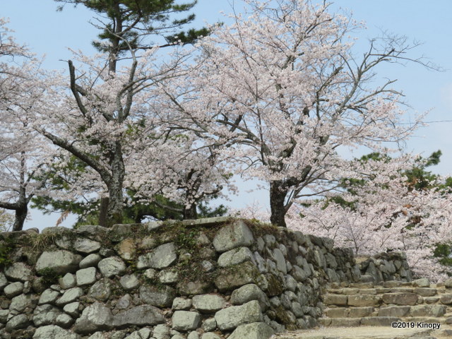 f:id:atsushi912:20190406233319j:plain