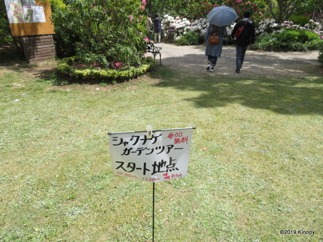 f:id:atsushi912:20190428135041j:plain