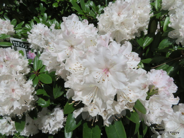f:id:atsushi912:20190428135056j:plain