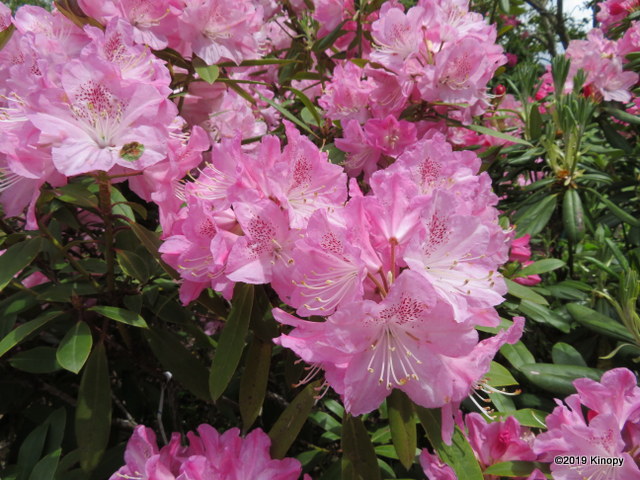 f:id:atsushi912:20190428135059j:plain