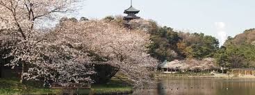 f:id:atsushi_rav10:20200618112219j:plain