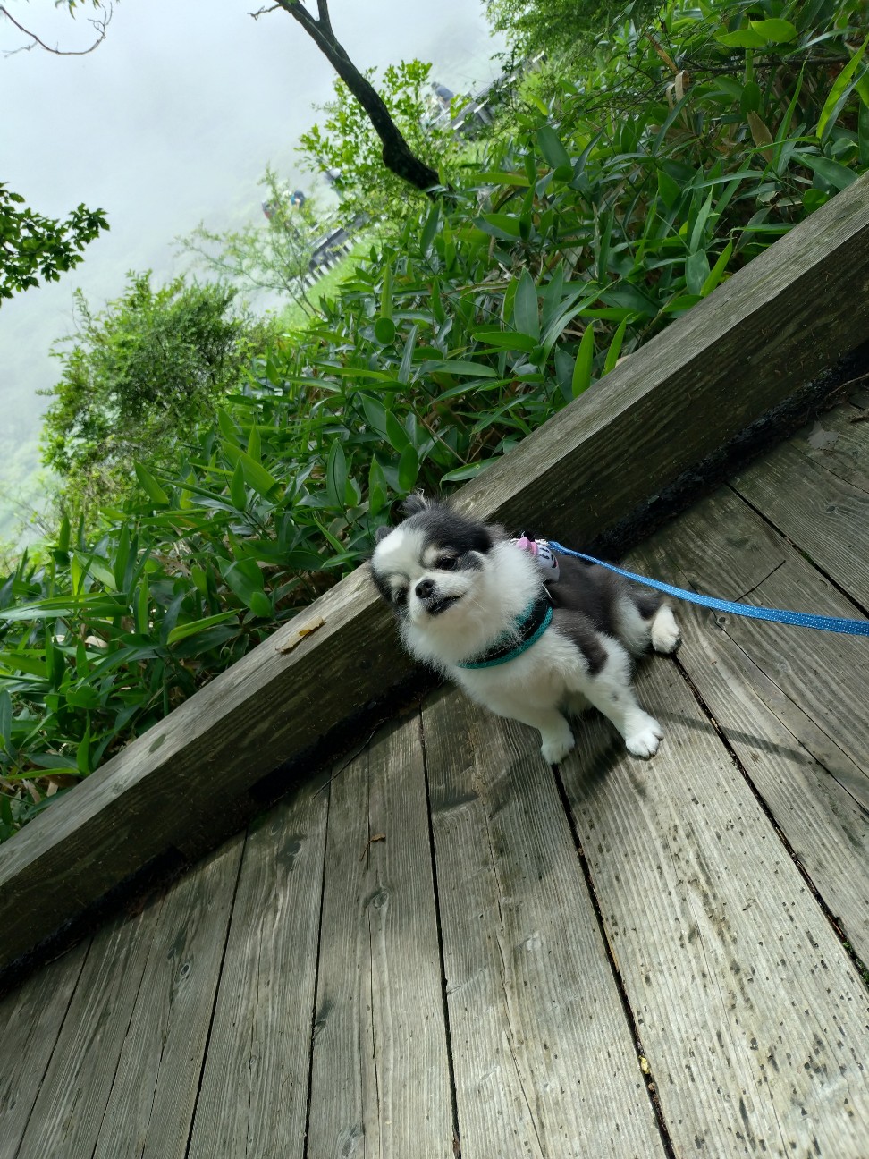 f:id:atsushimaru:20260720211738j:image