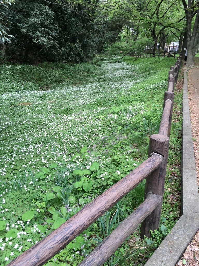 f:id:atsushisugimoto:20180407162459j:plain