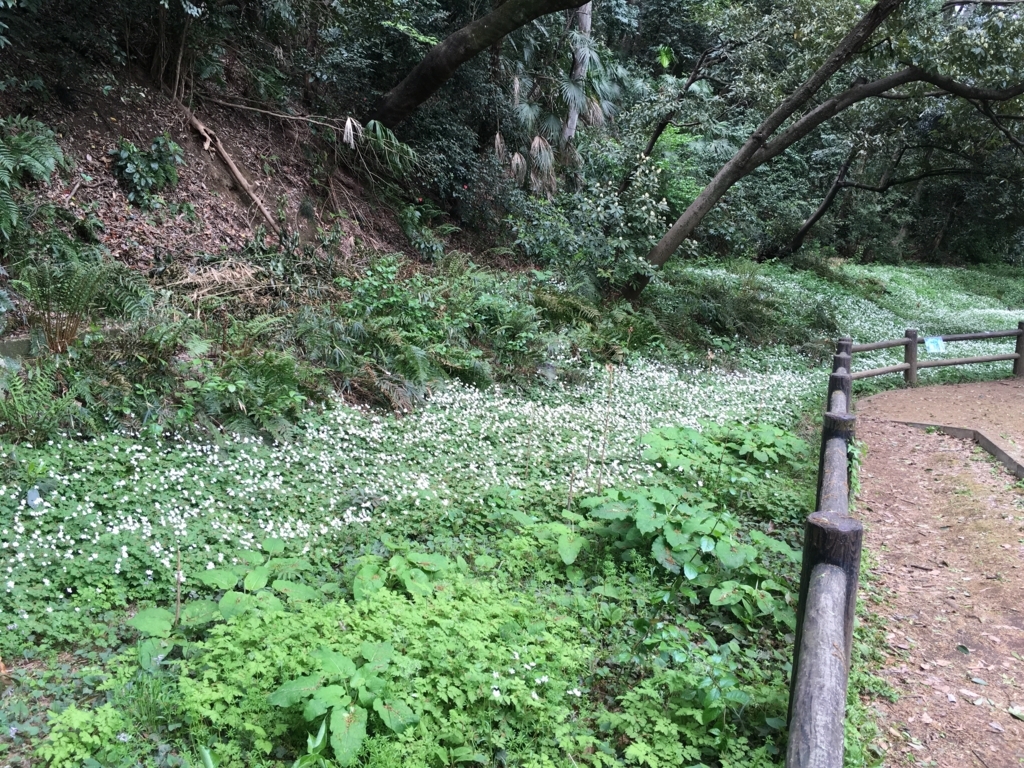 f:id:atsushisugimoto:20180407164557j:plain