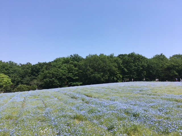 f:id:atsushisugimoto:20180429212356j:plain