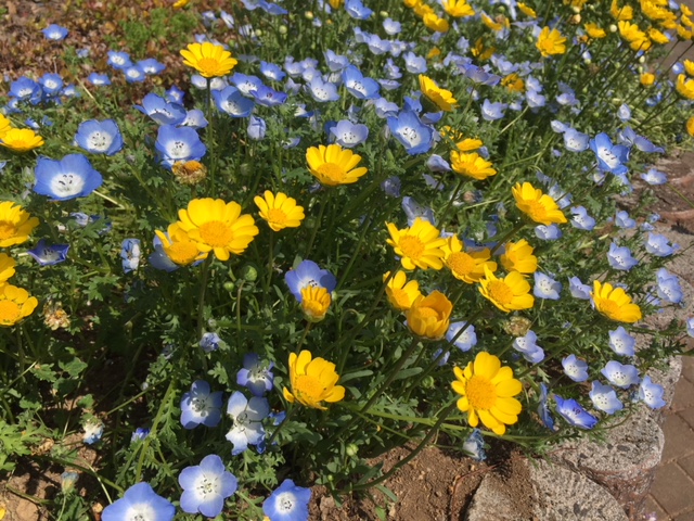 f:id:atsushisugimoto:20180429212446j:plain