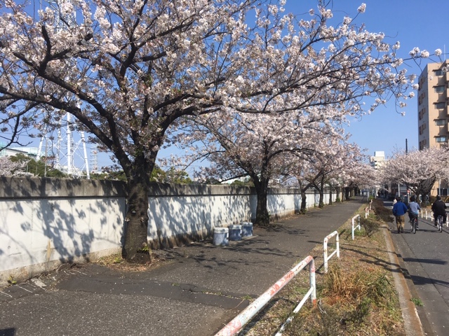 f:id:atsushisugimoto:20200416220032j:plain f:id:atsushisugimoto:20200416220032j:plain
