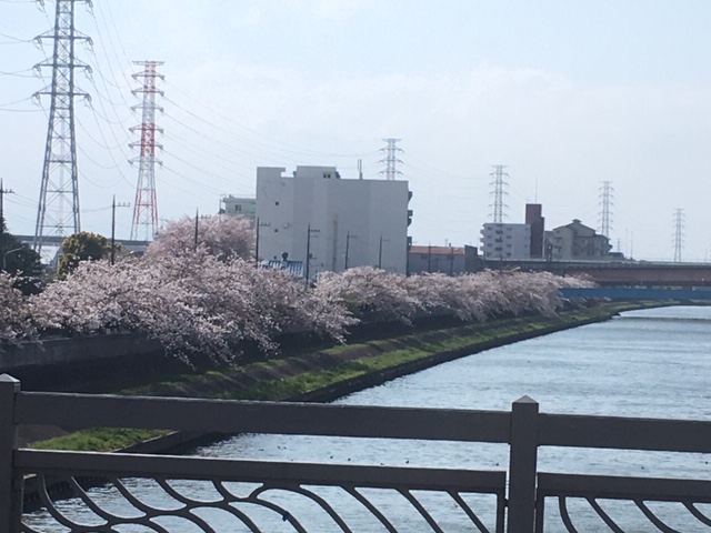 f:id:atsushisugimoto:20200416220155j:plain f:id:atsushisugimoto:20200416220155j:plain