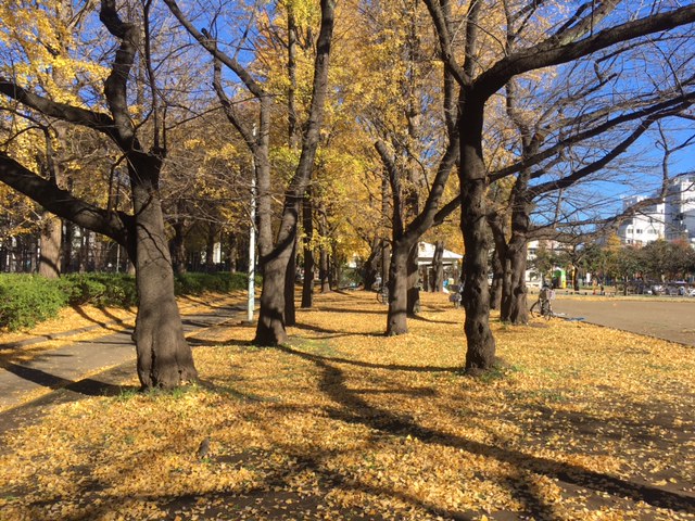 f:id:atsushisugimoto:20211128105849j:plain