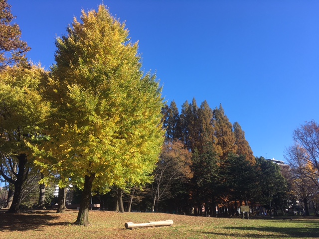 f:id:atsushisugimoto:20211128105945j:plain