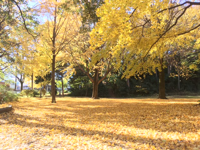 f:id:atsushisugimoto:20211128110025j:plain