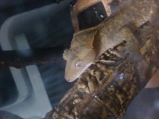 f:id:atsuya25:20091002011201j:image