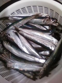 f:id:atsuya25:20120709010837j:image