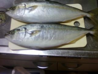 f:id:atsuya25:20120710000918j:image