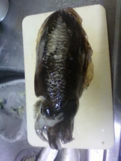 f:id:atsuya25:20120710001030j:image
