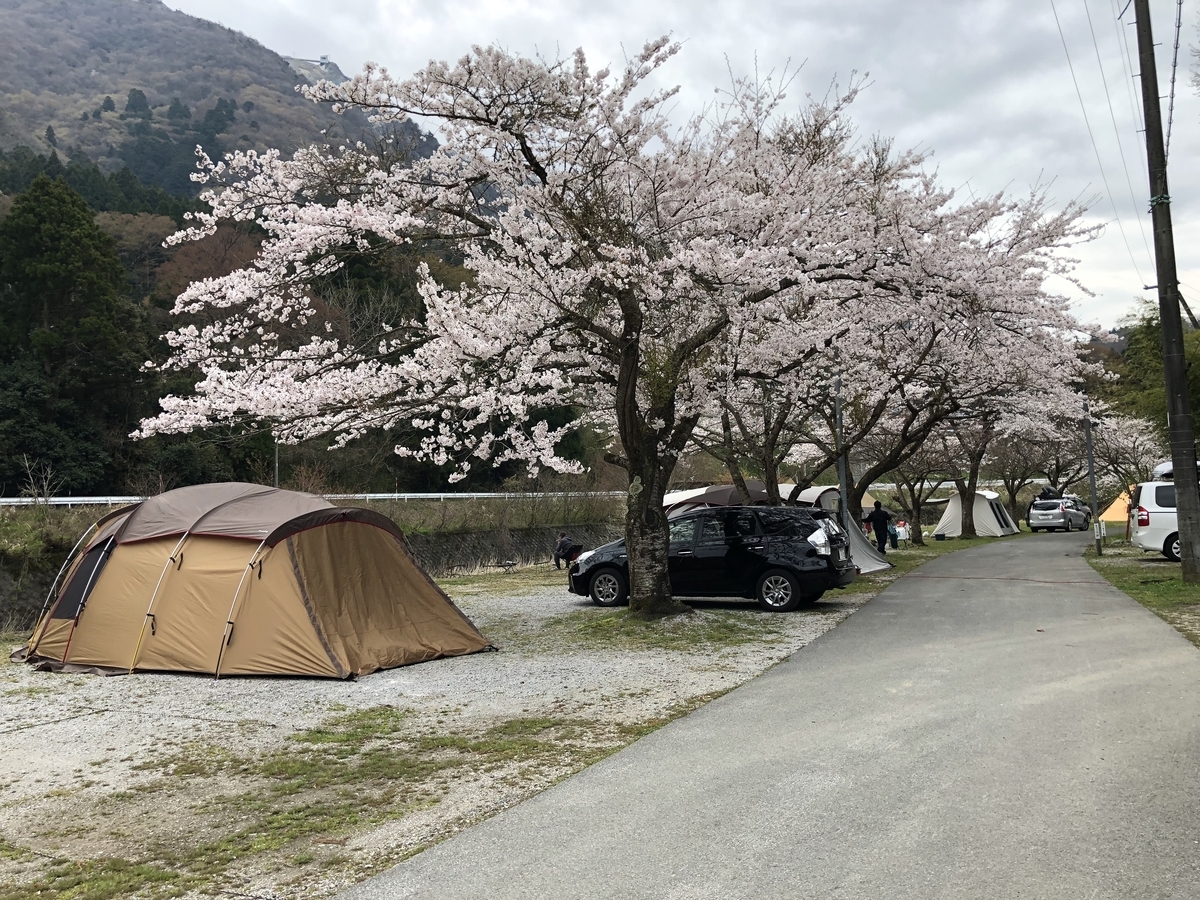 姉川パーク 東海 穴場キャンプ場 お花見キャンプ 高画質な写真のキャンプブログ