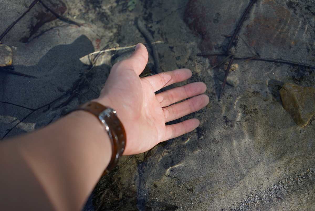 f:id:atsuyareo0530:20190801172518j:plain
