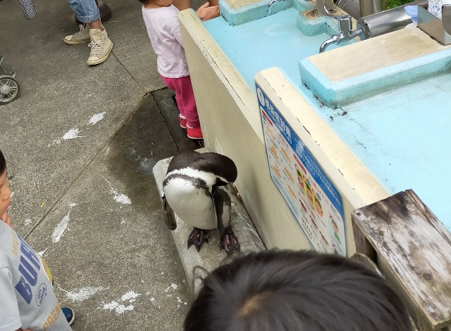 f:id:atsuyoshiblog:20201005235000j:image