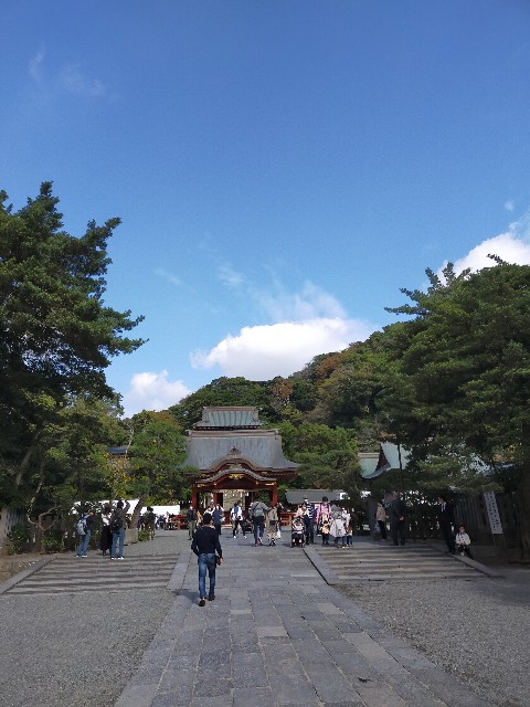 f:id:atsuyoshiblog:20201110200557j:image
