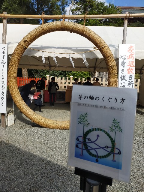 f:id:atsuyoshiblog:20201110200645j:image