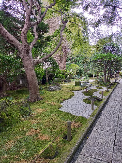 f:id:atsuyoshiblog:20201111202255j:image