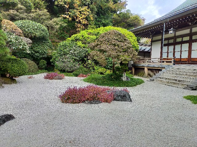f:id:atsuyoshiblog:20201111203005j:image