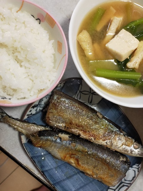f:id:atsuyoshiblog:20201121114432j:image