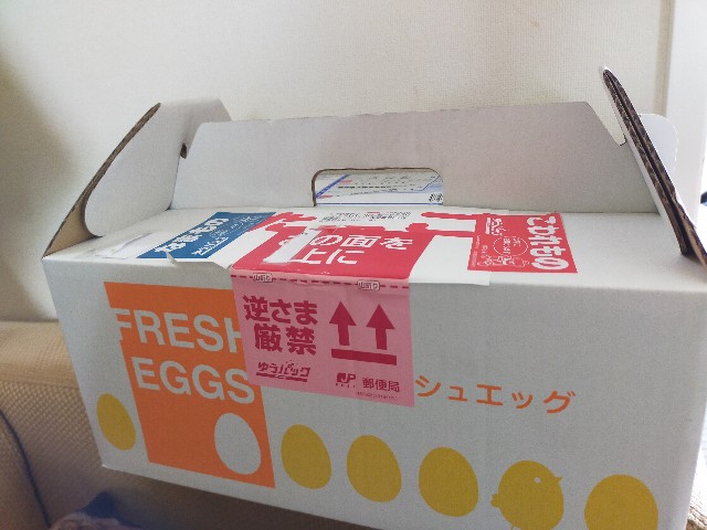 f:id:atsuyoshiblog:20201128205018j:image