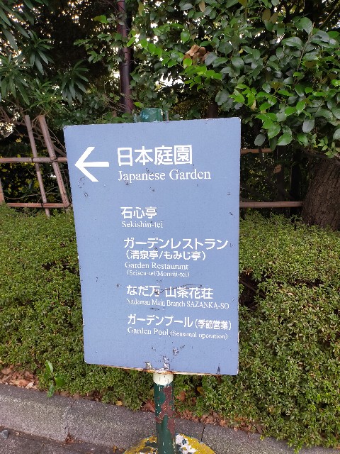 f:id:atsuyoshiblog:20201216224822j:image