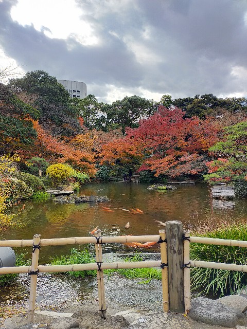 f:id:atsuyoshiblog:20201216225132j:image