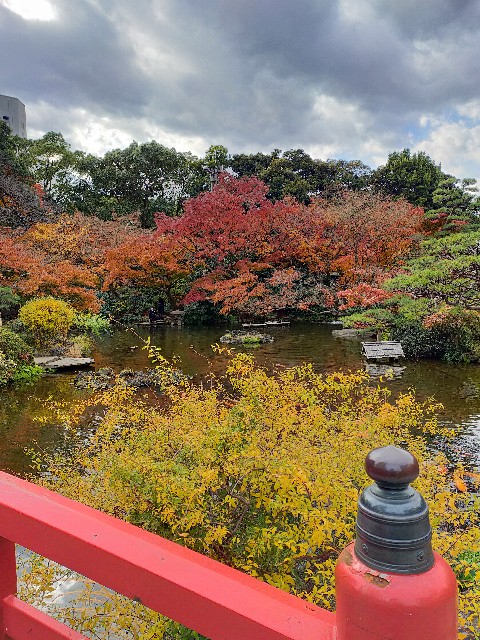 f:id:atsuyoshiblog:20201216225155j:image