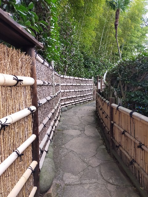 f:id:atsuyoshiblog:20201216225257j:image