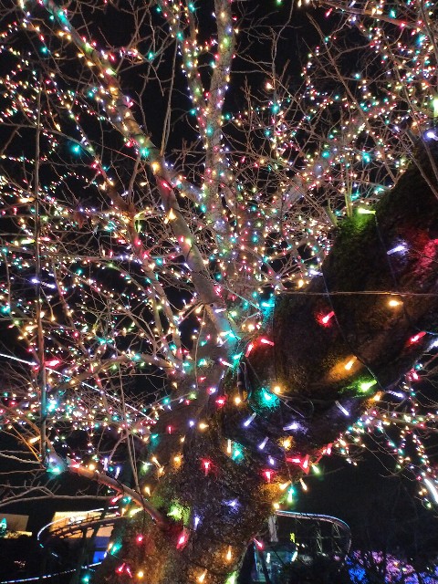f:id:atsuyoshiblog:20201217001534j:image