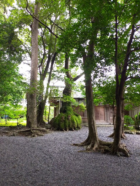 f:id:atsuyoshiblog:20210828114948j:image