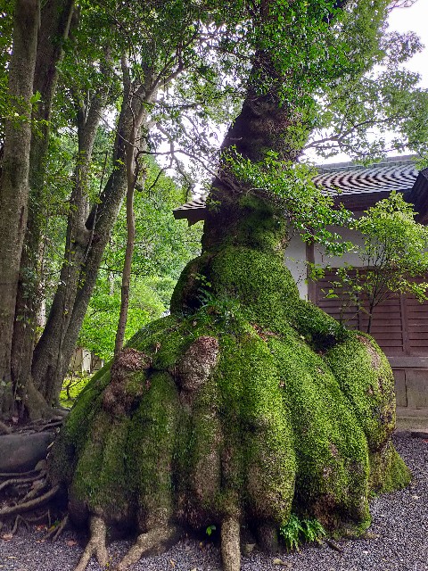 f:id:atsuyoshiblog:20210828115001j:image