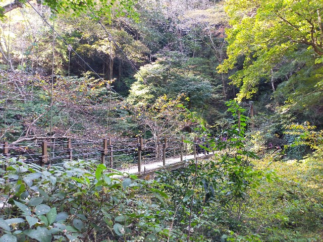 f:id:atsuyoshiblog:20211117001626j:image
