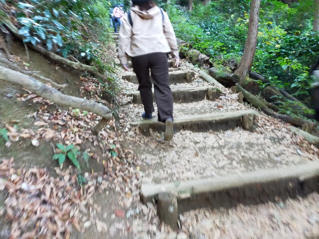 f:id:atsuyoshiblog:20211117001717j:image