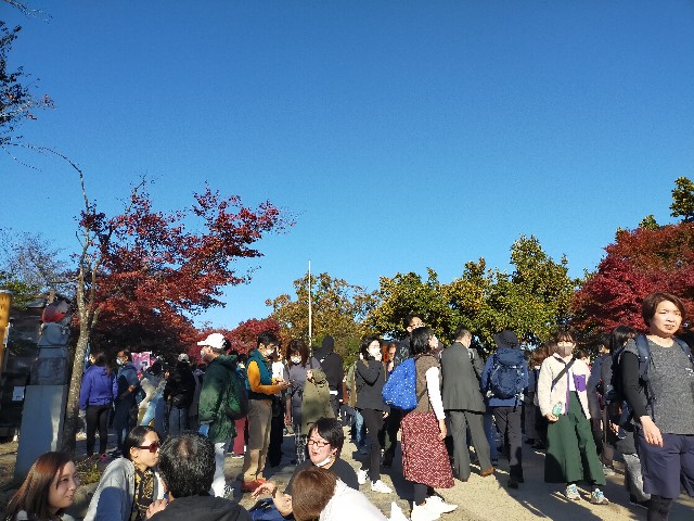 f:id:atsuyoshiblog:20211117001829j:image