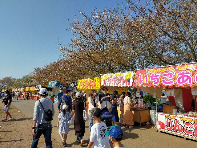 f:id:atsuyoshiblog:20220413131107j:image