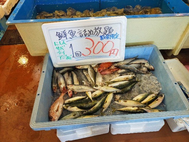 f:id:atsuyoshiblog:20240511092425j:image