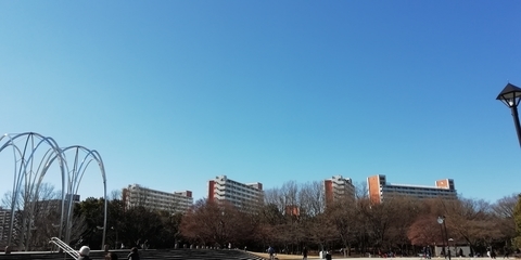 f:id:attack-hazime-2013:20190127213506j:image:w420