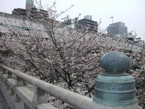 f:id:attack-hazime:20130329151855j:image:w360
