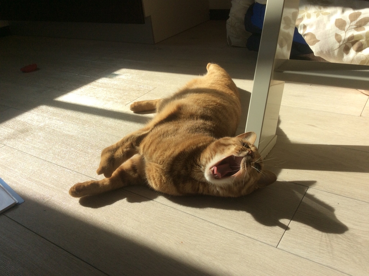 f:id:attack-mana1212:20190418192620j:plain f:id:attack-mana1212:20190418192620j:plain