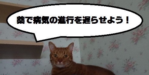 f:id:attack-mana1212:20190429204329j:plain